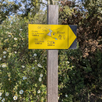 Mercredi 14 mai 2025 / Les sentes de Valcros