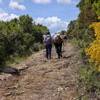 Samedi 07.06.2025 / Les Hauts du Faron