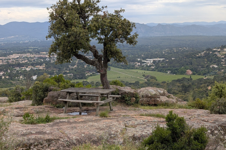 Mercredi 25 juin 2025 / Les chemins de Brégançon