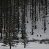 Les neiges de Castérino / Samedi 08 et Dimanche 09 février 2025