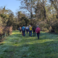 Mercredi 20.11.2024 / Les Terres Blanches