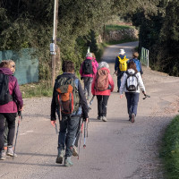 Mercredi 20.11.2024 / Terres Blanches