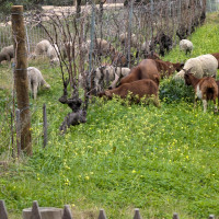 Samedi 08 février 2025 / Nos retrouvailles de Printemps