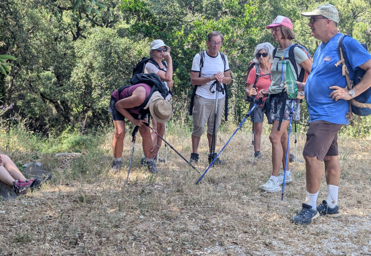 Mercredi 101 juin 2025 / La randonnée de chez nous - Les Chemins de Valcros